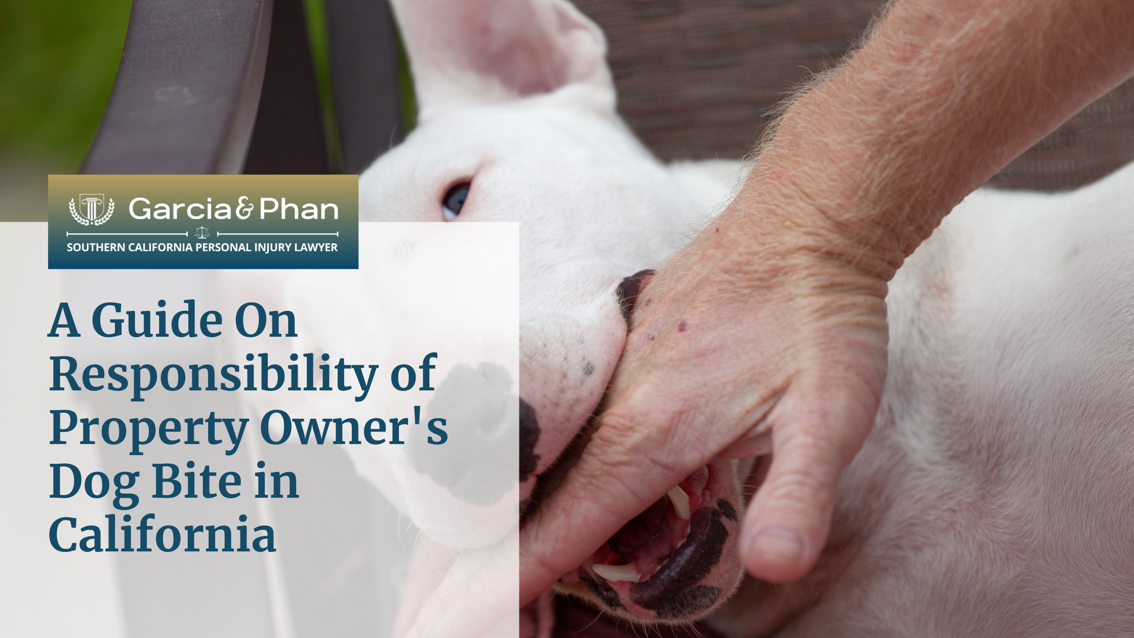 A Guide On Responsibility of Property Owner's Dog Bite in California | GP