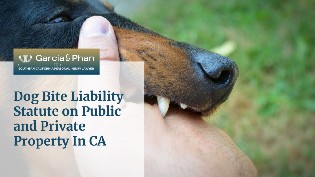Dog Bite Liability Statute on Public and Private Property In CA | GP
