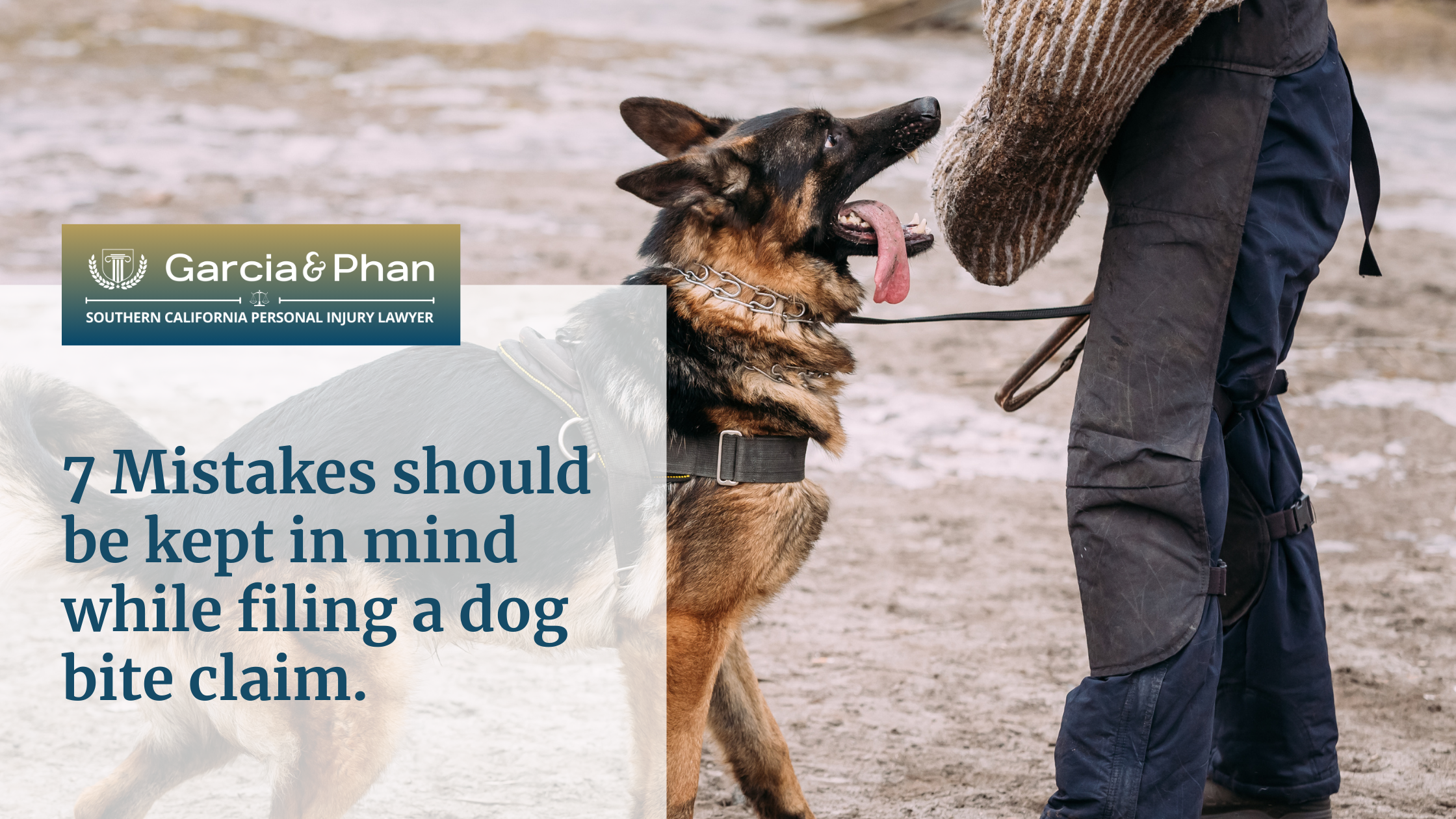 7 Mistakes should be kept in mind while filing a dog bite claim. | GP