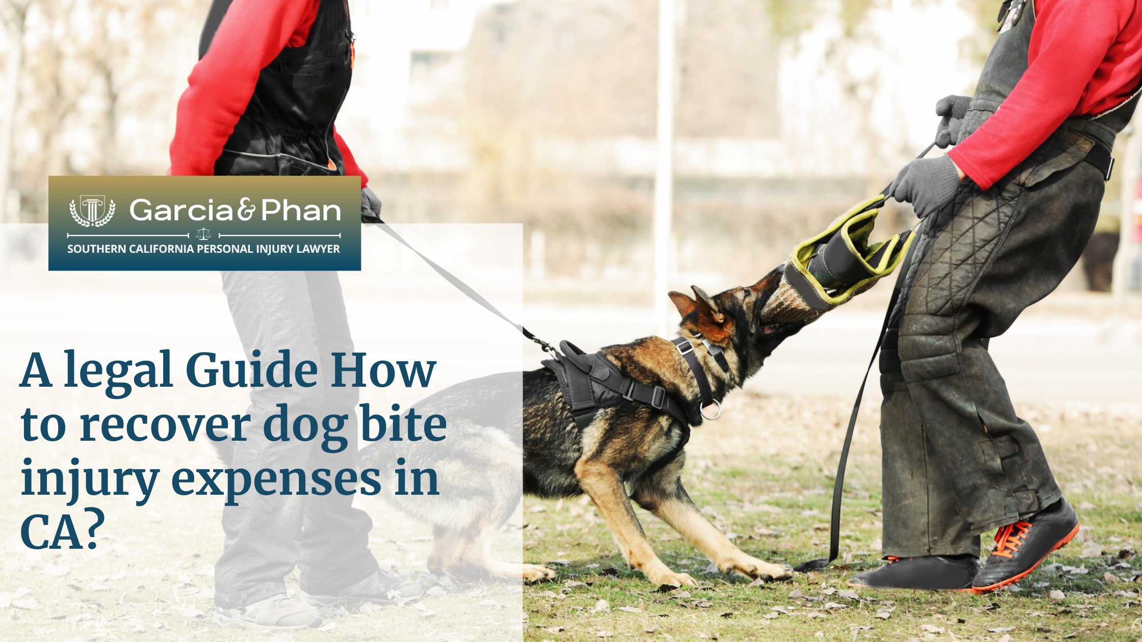 A legal Guide How to recover dog bite injury expenses in CA | GP
