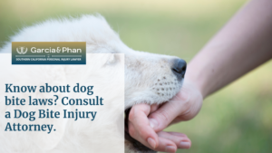 Know about dog bite laws Consult a Dog Bite Injury Attorney. | GP