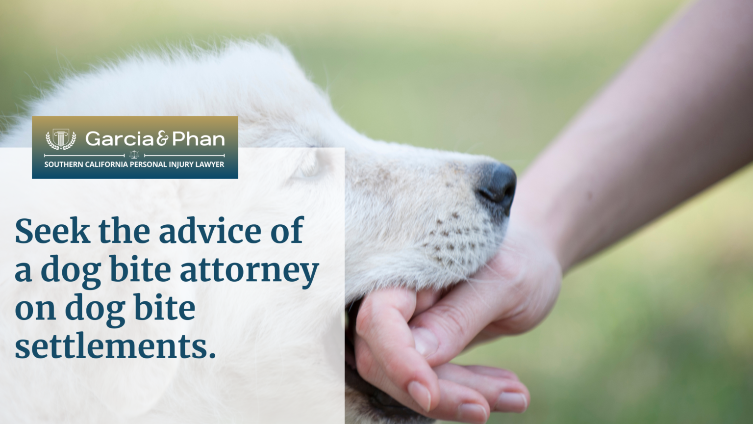 Seek The Advice Of A Dog Bite Attorney On Dog Bite Settlements.