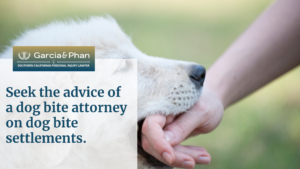 Seek the advice of a dog bite attorney on dog bite settlements. | GP