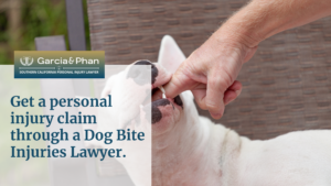 Get a personal injury claim through a Dog Bite Injuries Lawyer. | GP