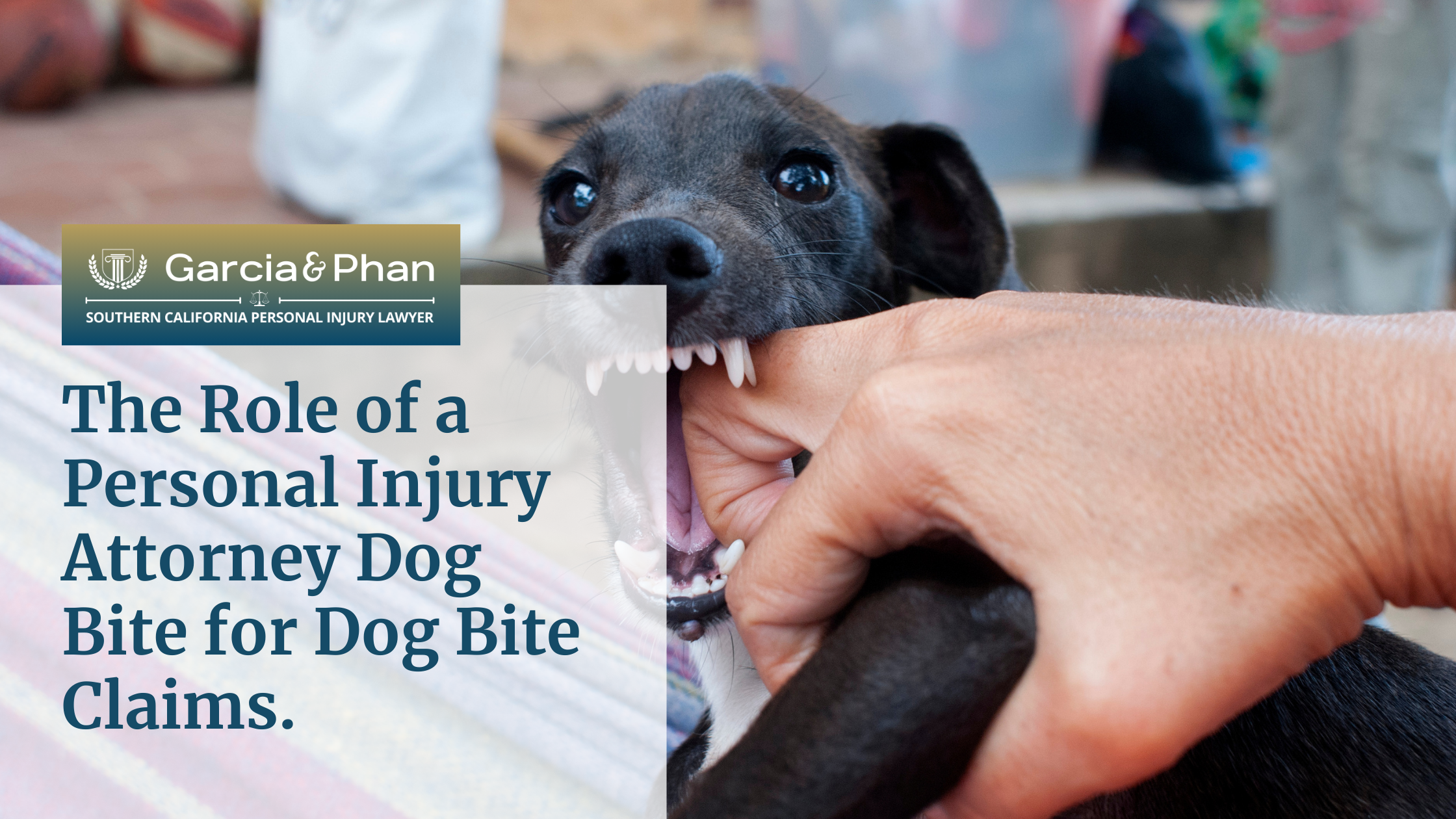 The Role of a Personal Injury Attorney Dog Bite for Dog Bite Claims. | GP